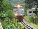 VLI 8438